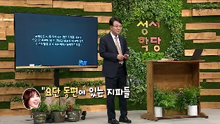 성서학당 김흥규 목사 민수기 33강 도피성 